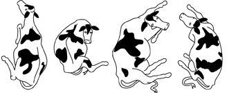 Resting_a.jpg#asset:252