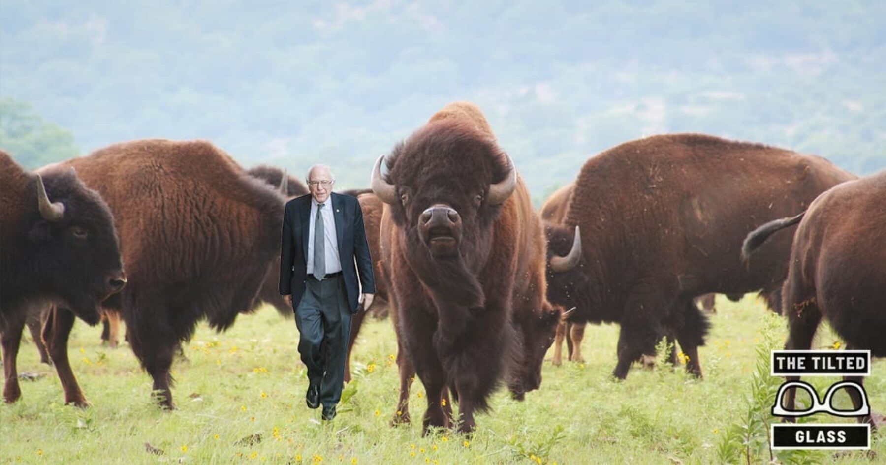 Bernie Sanders Announces Bid to Make America Indigenous Again