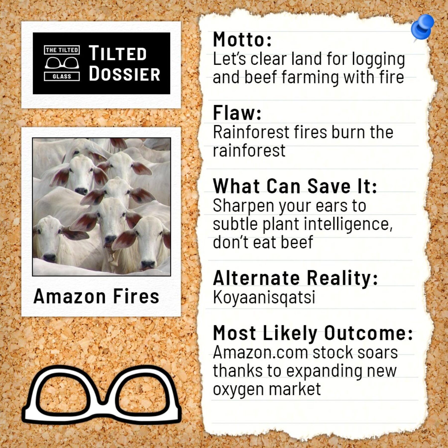 What Are the Amazon Fires? A Dossier Roast