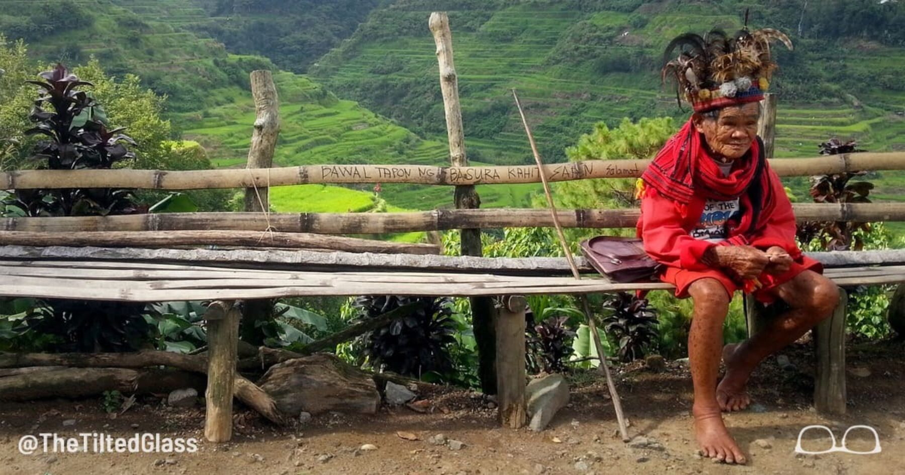 Ex-Musician Finds Success as Shaman After Ayahuasca Retreat