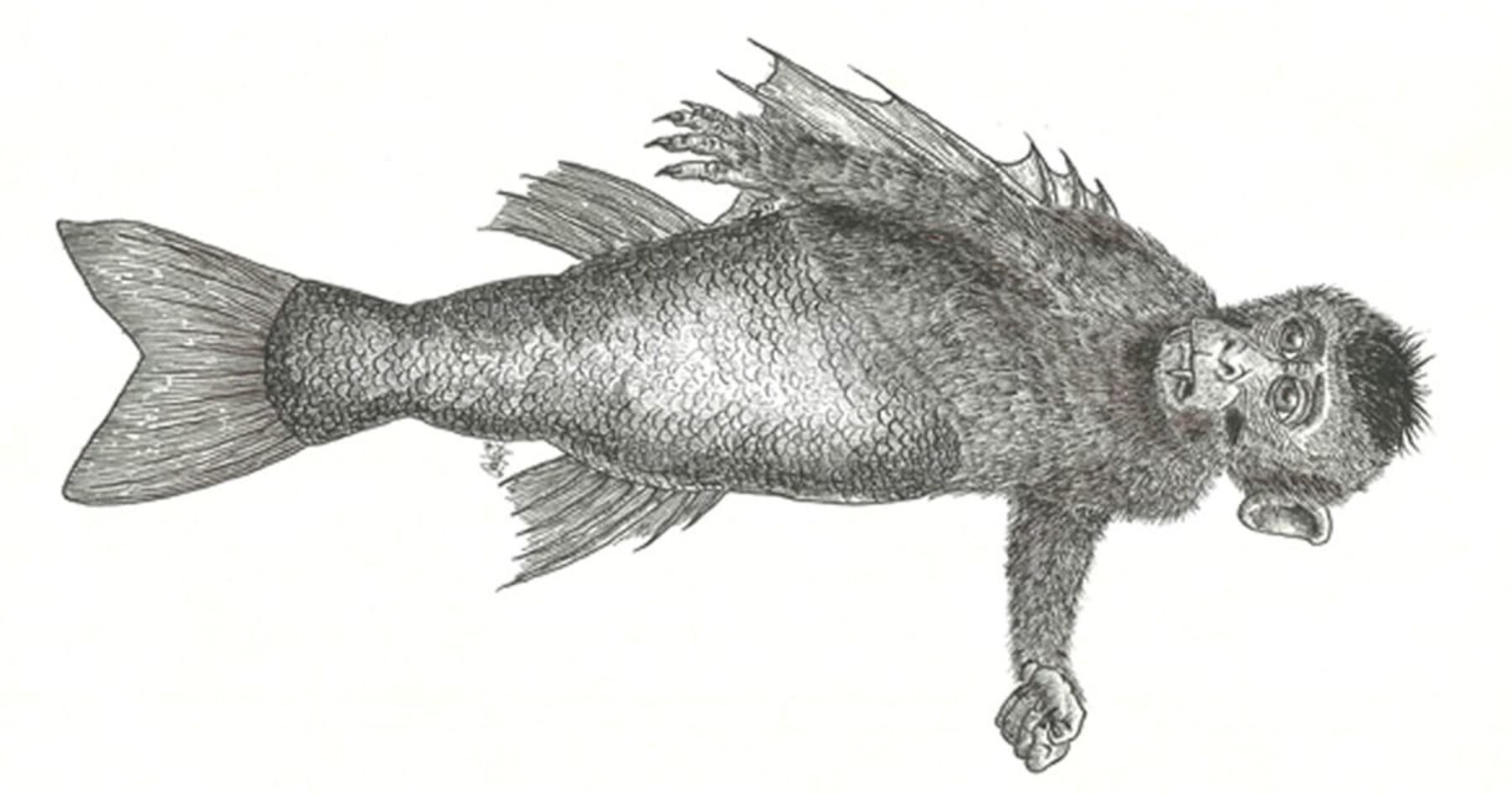 Scientology: Come See Our Feejee Mermaid!