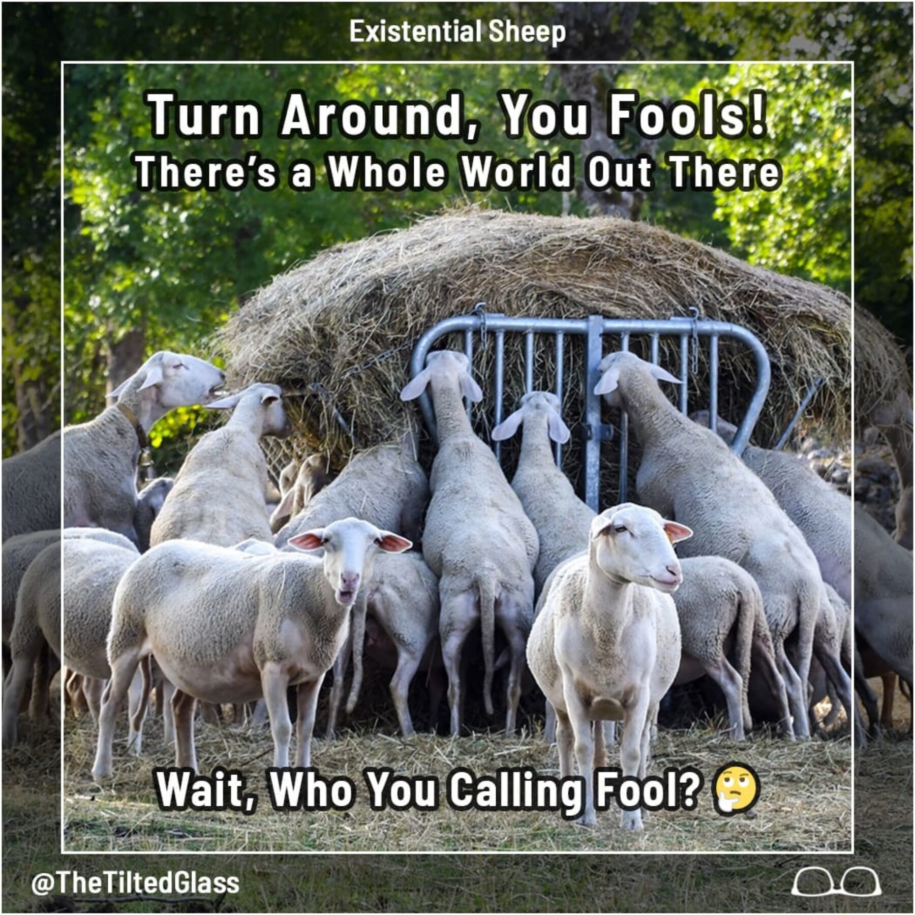 Turn Around, You Fools! There’s a Whole World Out There