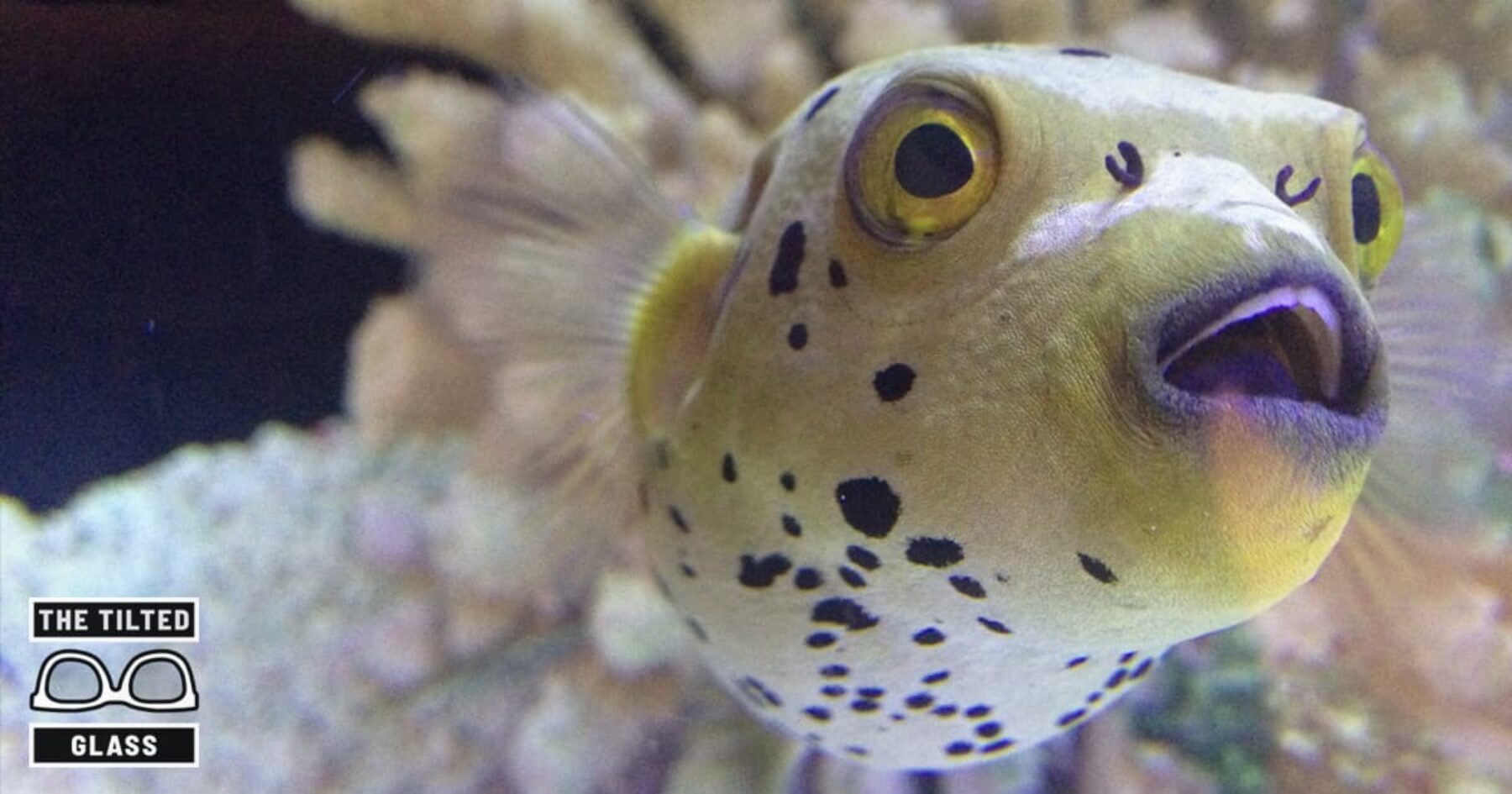 9 Urgent Photos From Your Sponsor: FREAKY Mother Earth