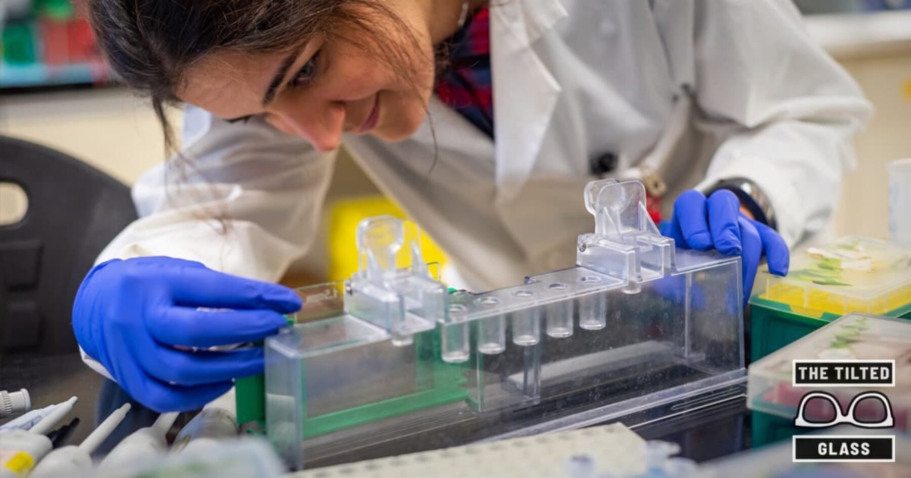 Gay CERN Scientists Discover New Sexual Category