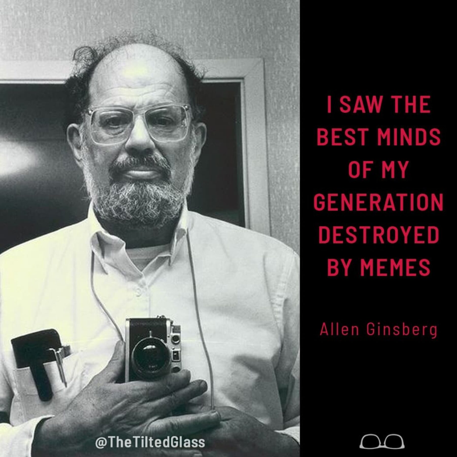 I saw the best minds of my generation destroyed by memes