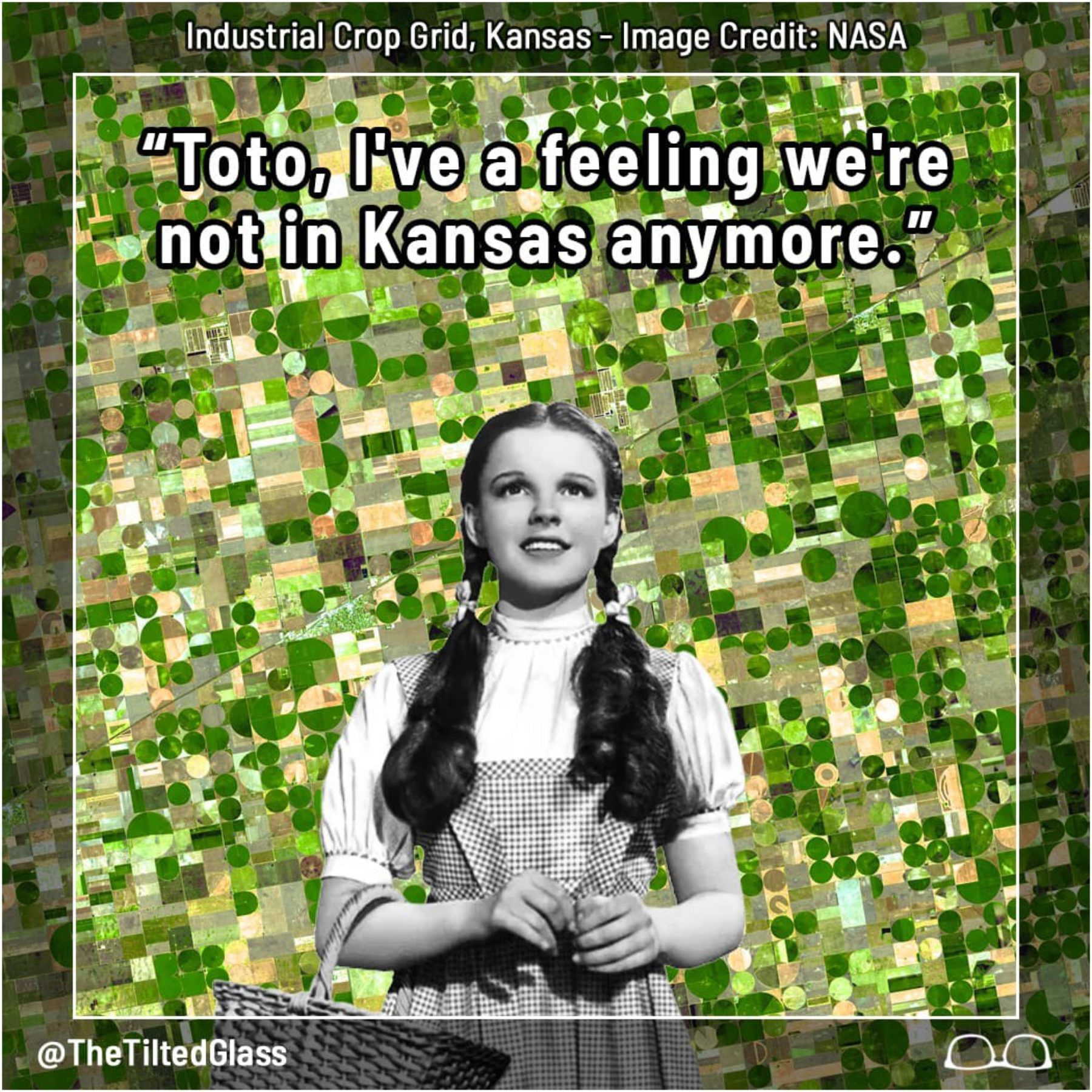 Kansas's Industrial Farming Grid from NASA Satellites