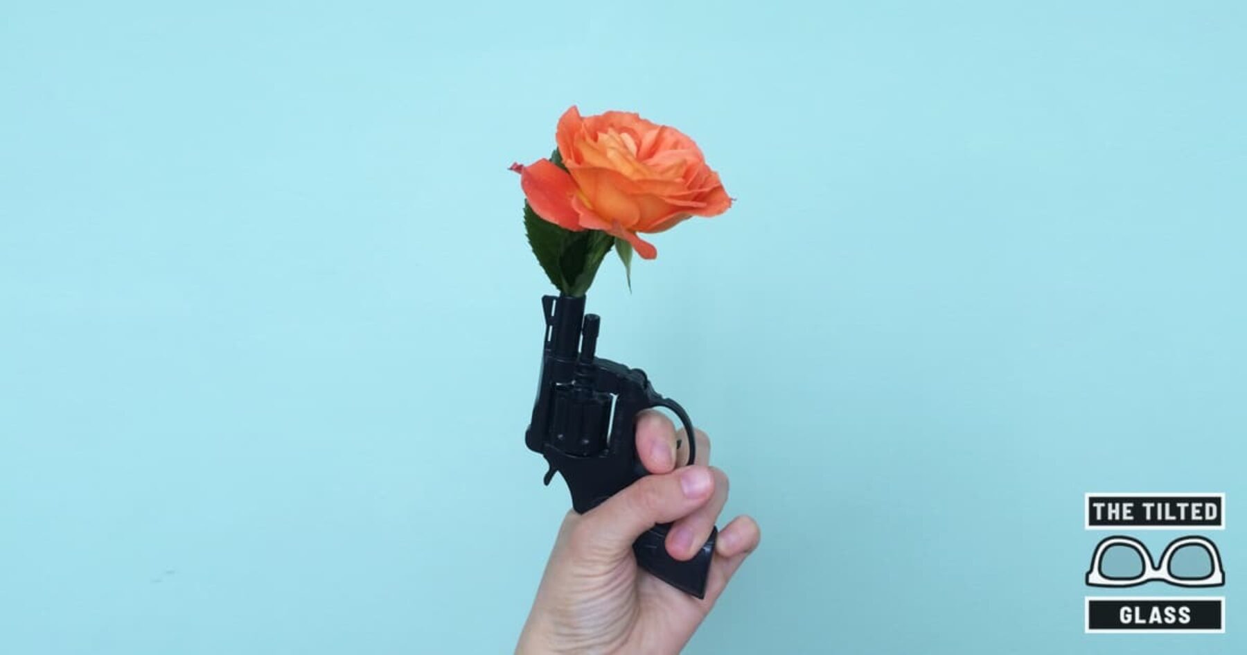 NRA Disbands, Receives Nobel Peace Prize