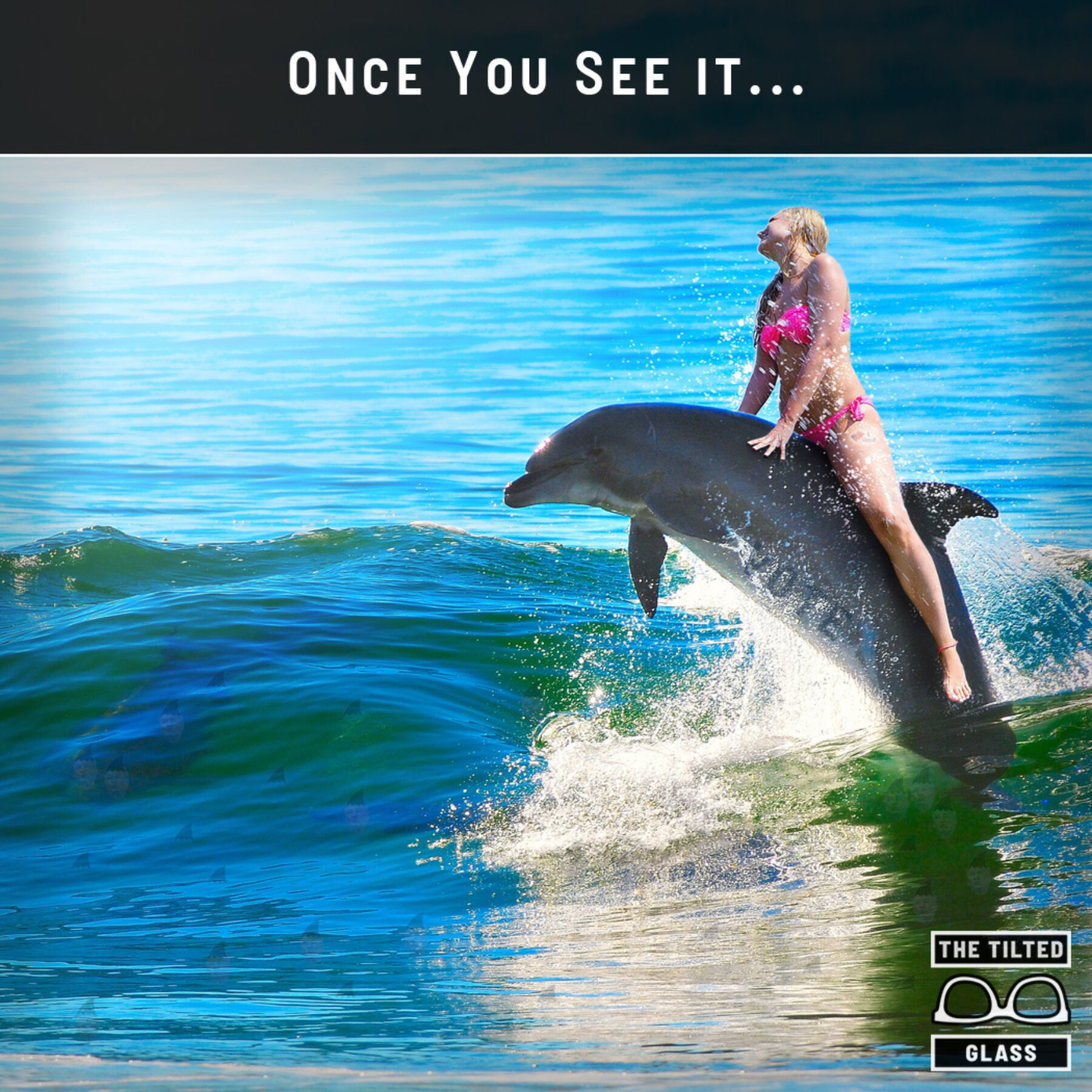 Once You See It... Special Dolphin Edition