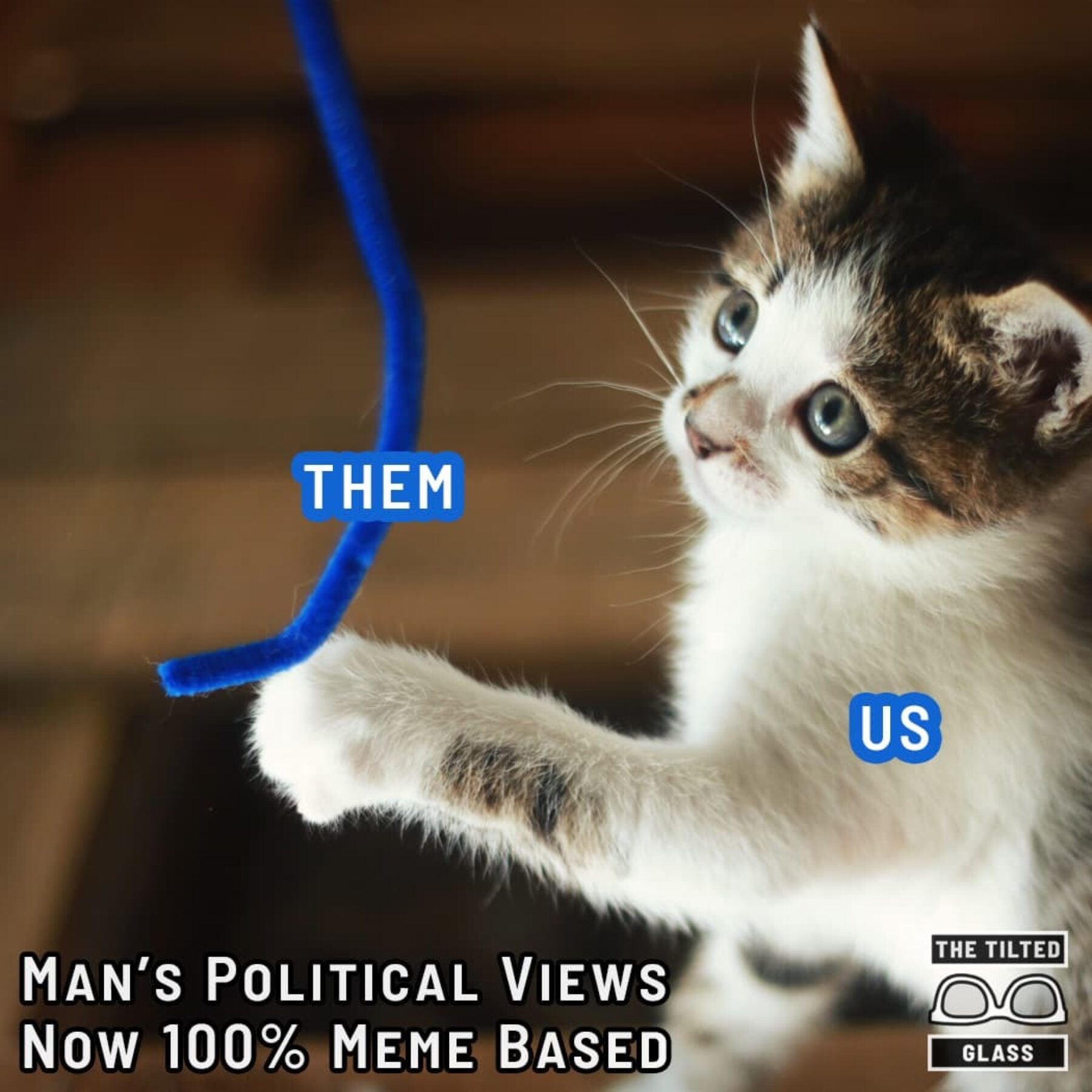 Man’s Political Views Now 100% Meme Based