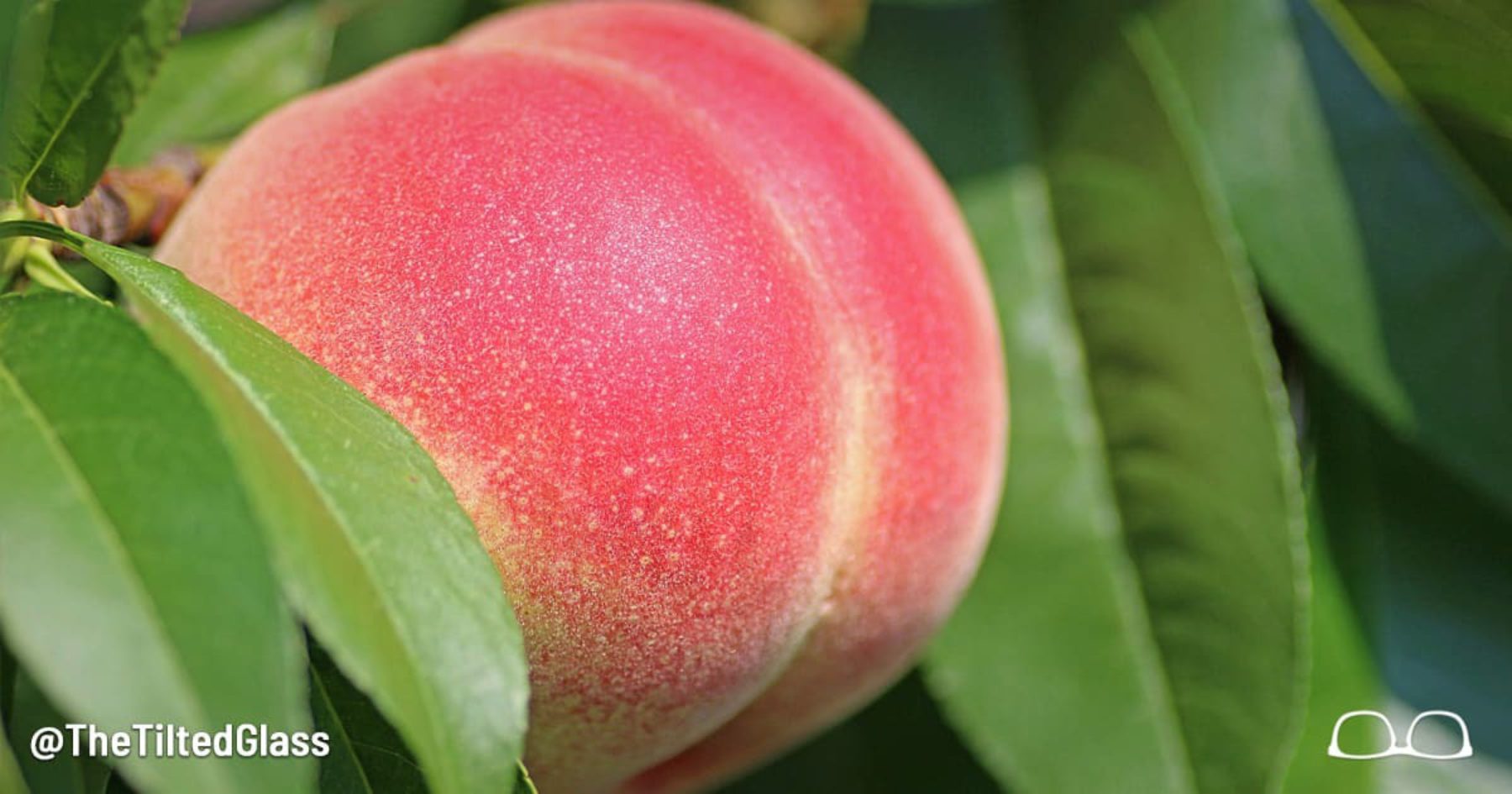 Take Our Sexy Peach Quiz to Discover Your Romantic Personality
