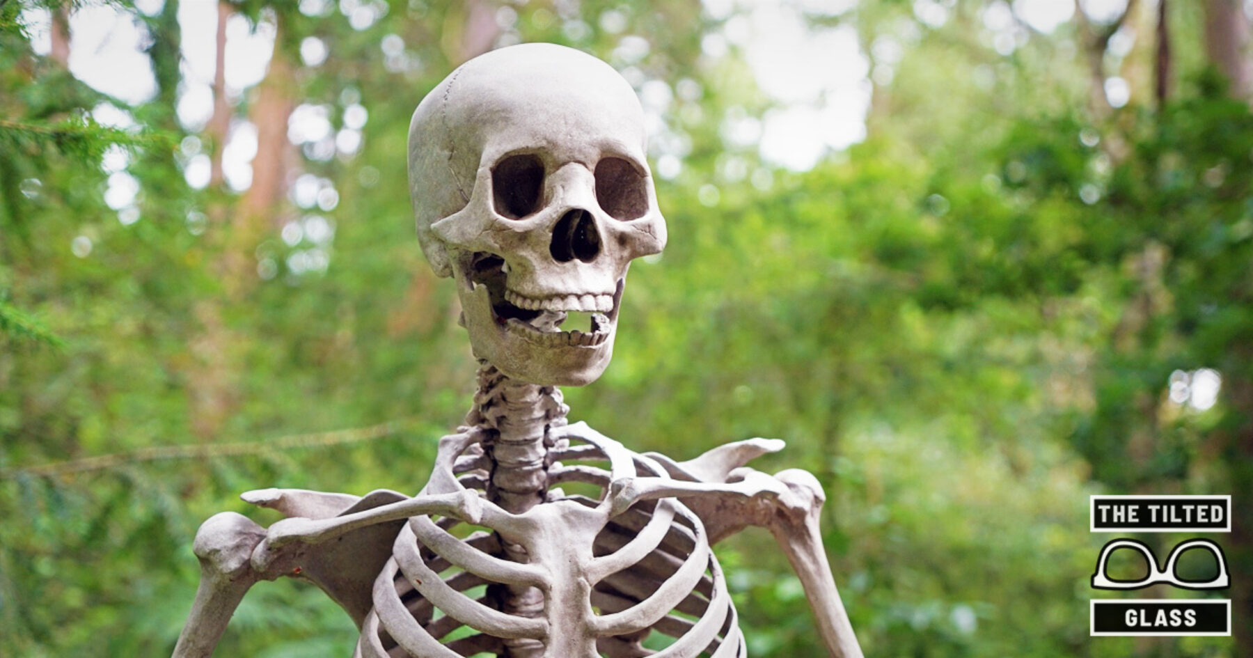 Top 15 Most Sexy Skeletons & 1 Ugly One