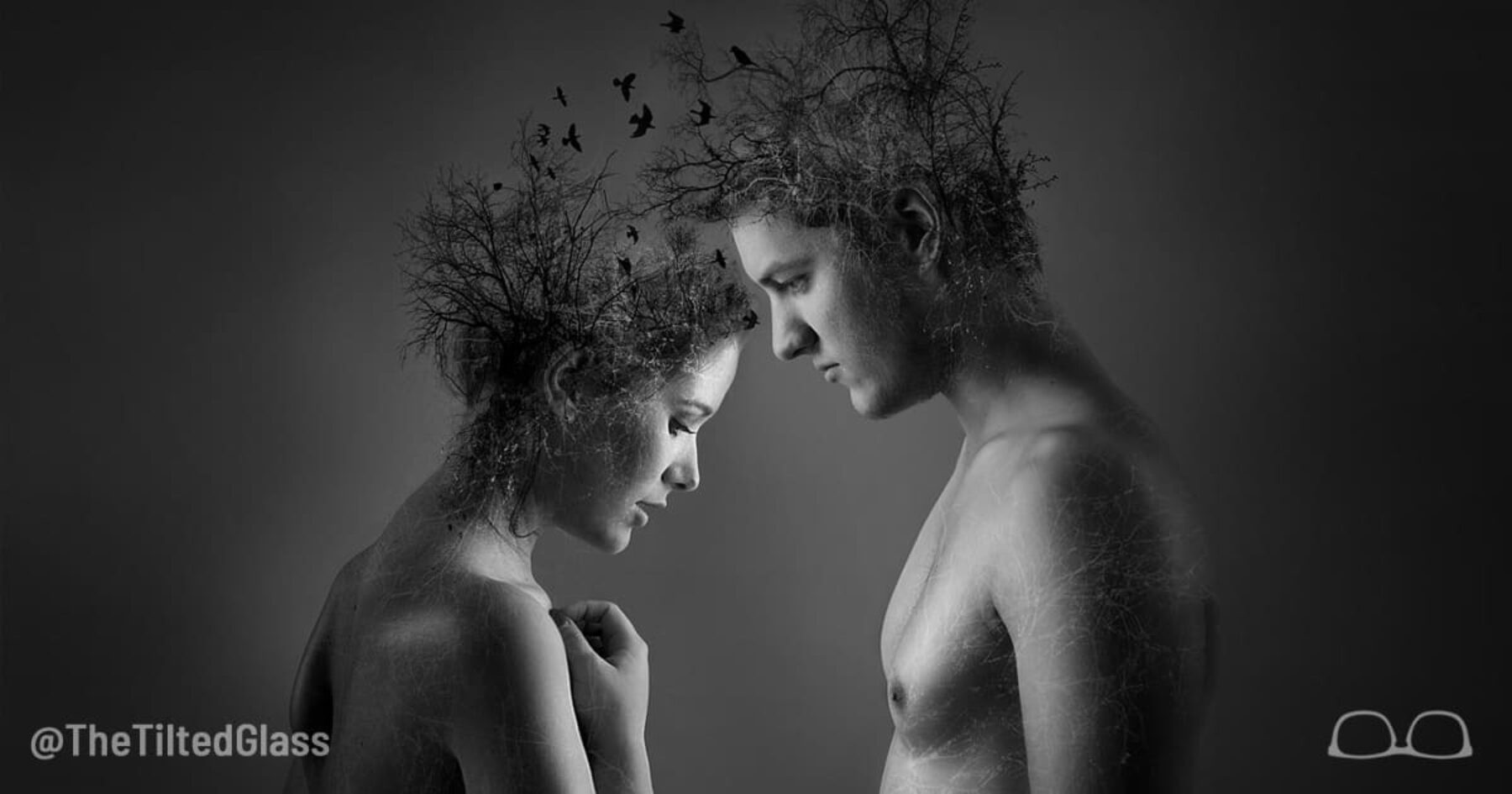 5 Relationship Tips Given by Birds Flying Amongst the Trees Growing Out Your Skulls