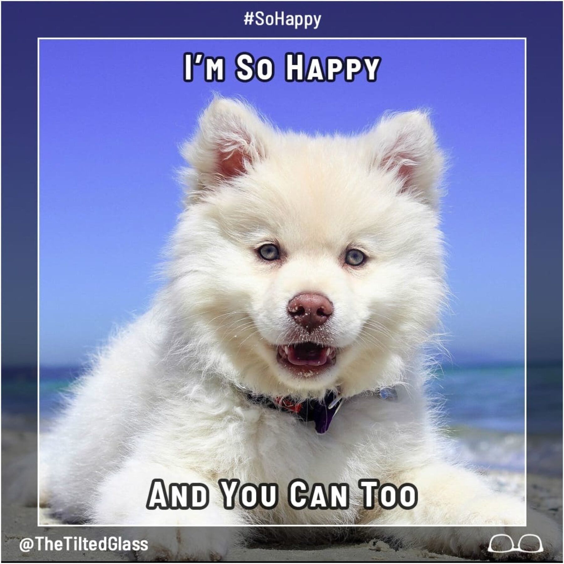 I'm So Happy And You Can Too