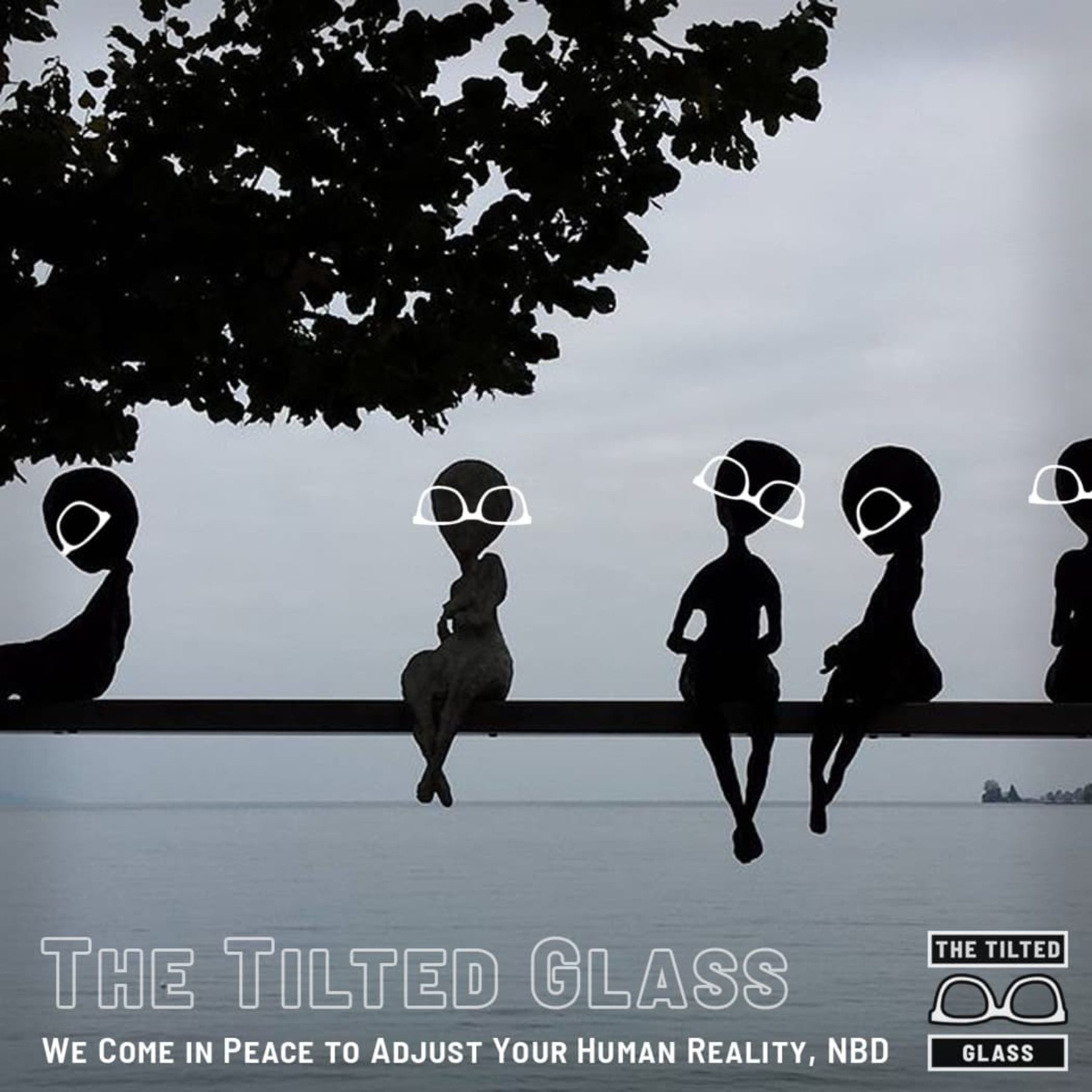 We Come in Peace to Adjust the Human’s Reality, NBD