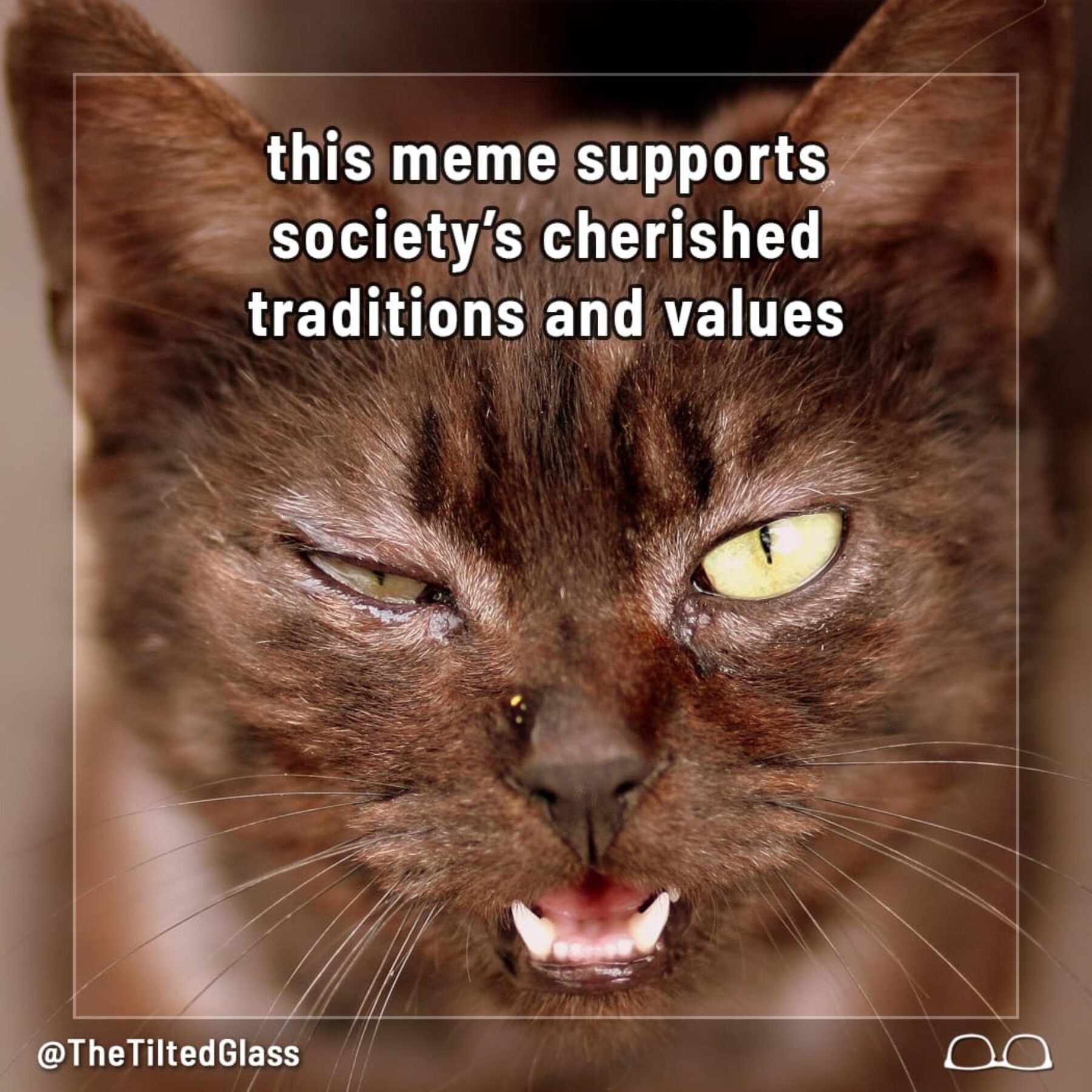 This Meme Supports Society's Cherished Traditions & Values