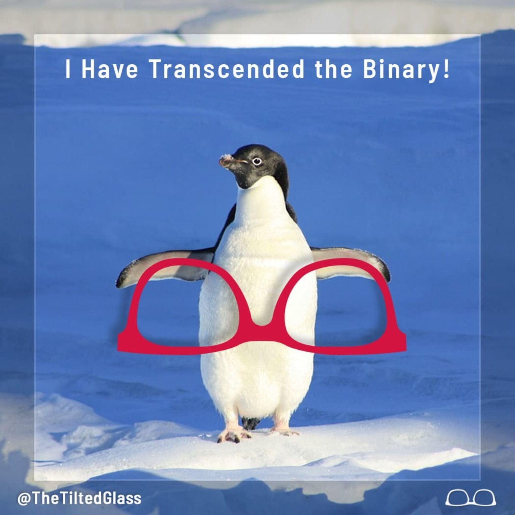 The Penguin Has Molted