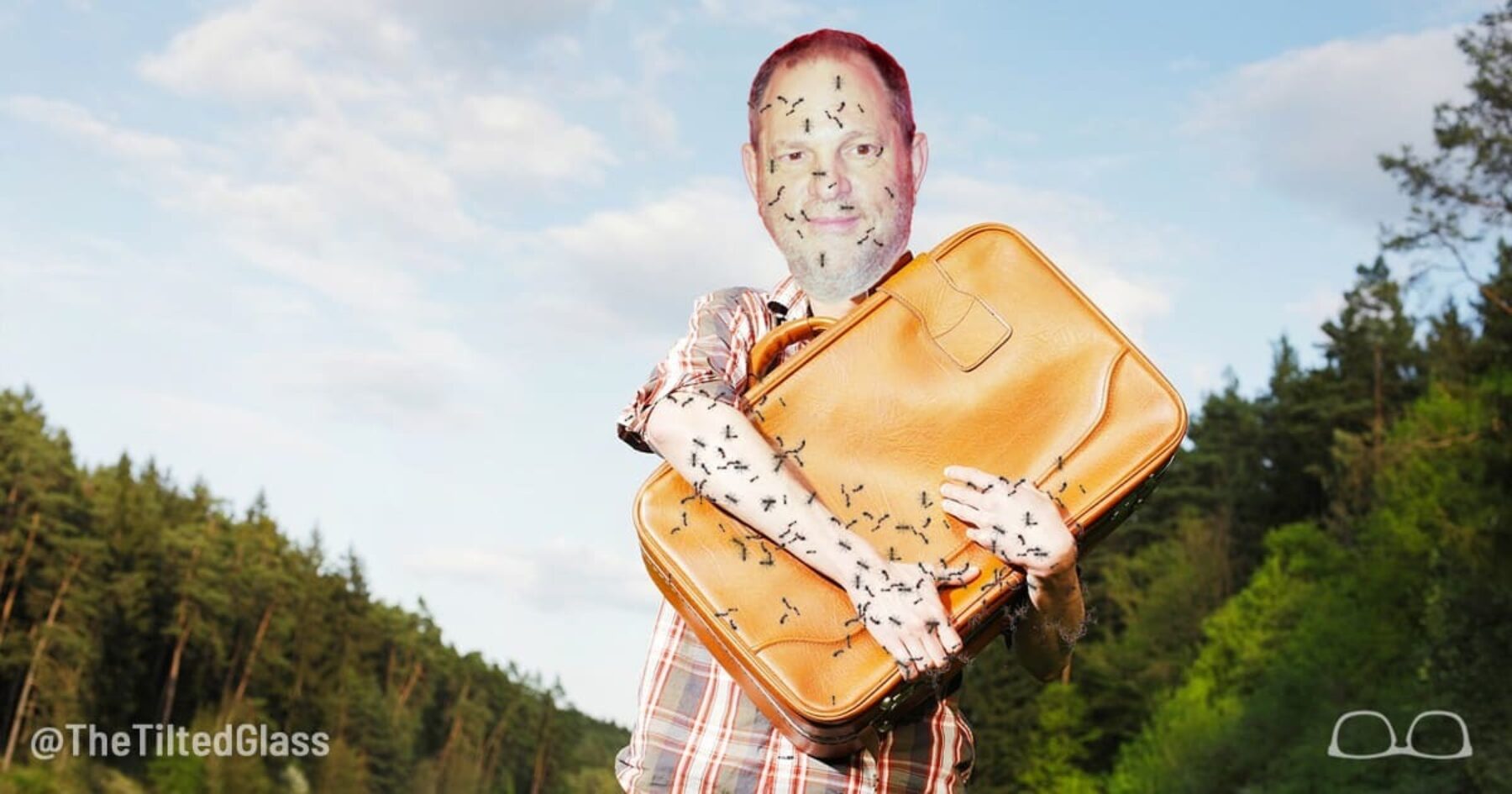 Weinstein Denied Emotional-Support Fire Ants on Virgin Airlines Flight