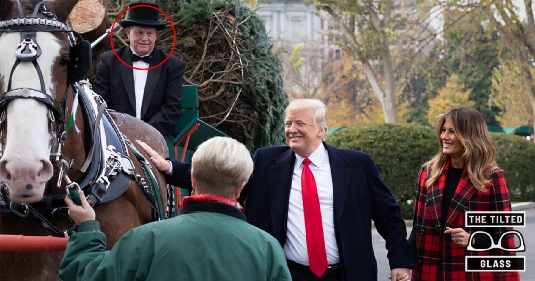White House Horse Dies Suddenly