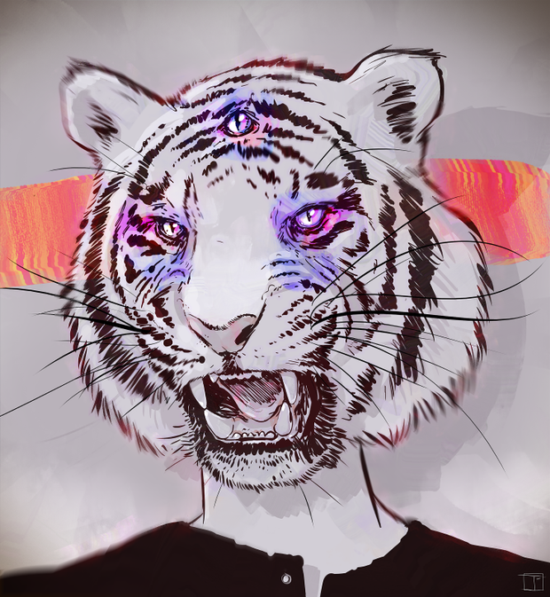 phazed-1.png#asset:274