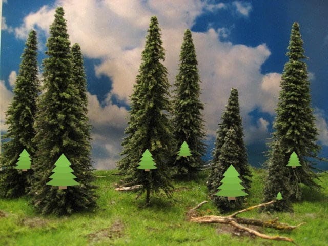 pine-10.jpg#asset:329