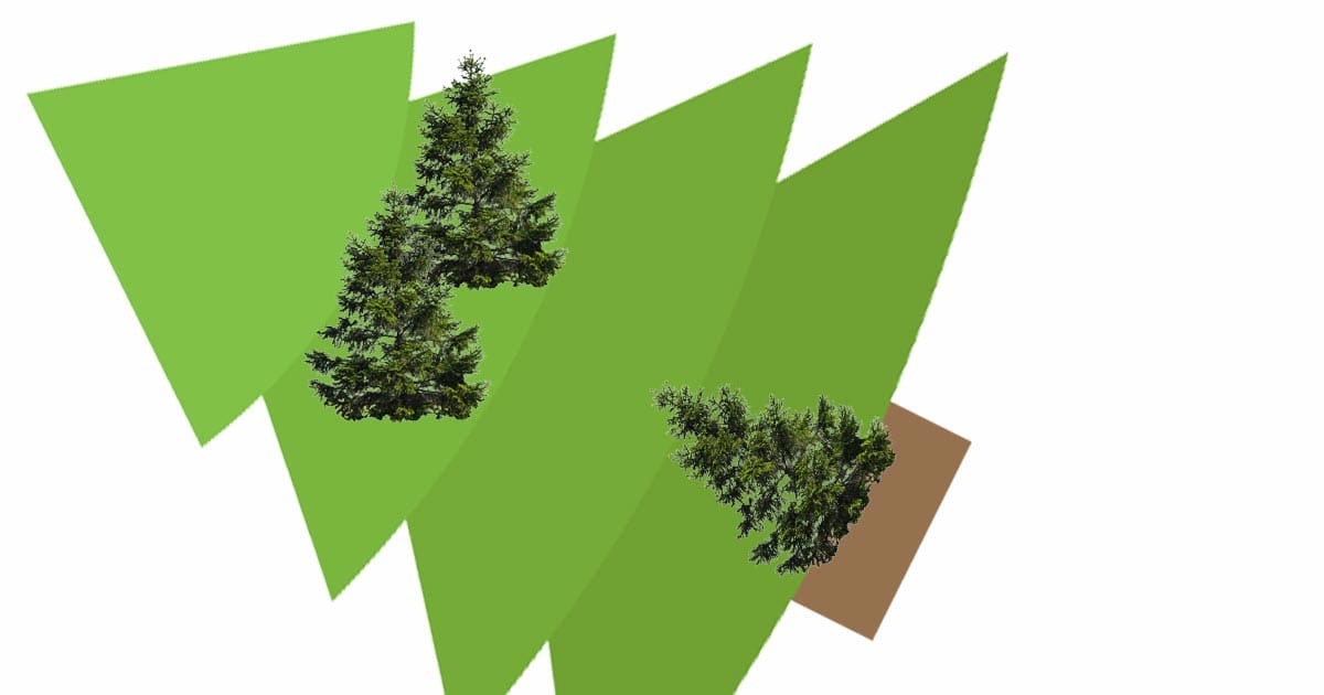 pine-6.jpg#asset:325