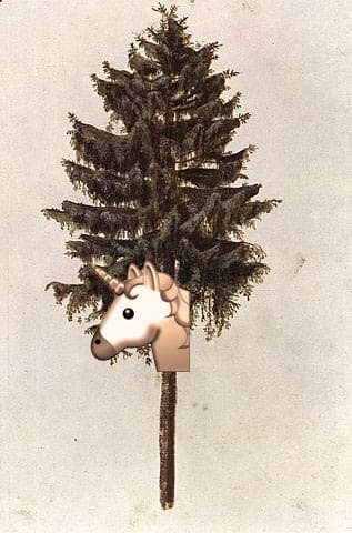 pine-8.jpg#asset:327